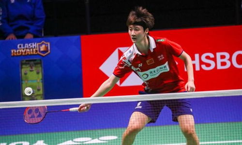 占据了一定 占据了一定